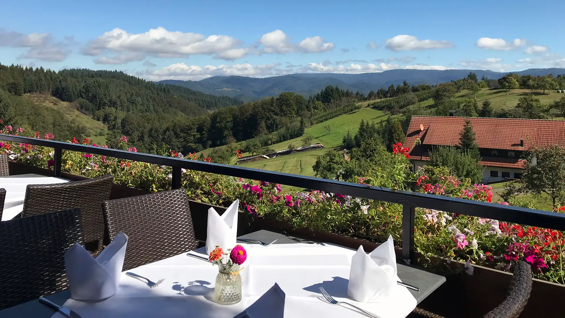 Panoramaterrasse mit Blick zur Hornisgrinde
